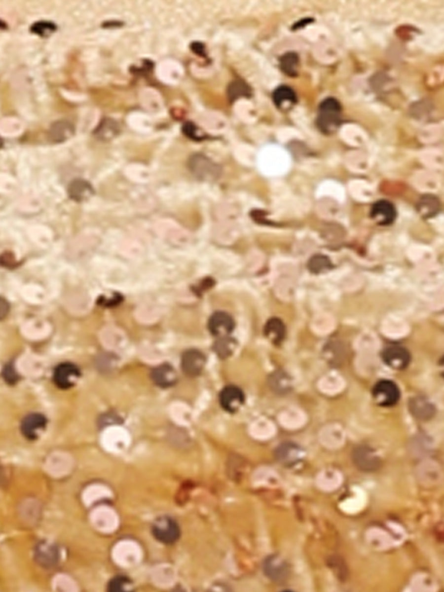 Velvet Sequined Crop Cami